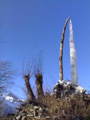 K800_skulptur_undstall_010.JPG