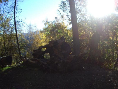 K800_IMGP1425.JPG