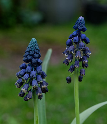 DSC_0057_DxO.jpg