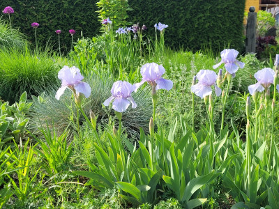 20260508_171753.jpg