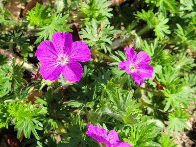 20260504_103025.jpg