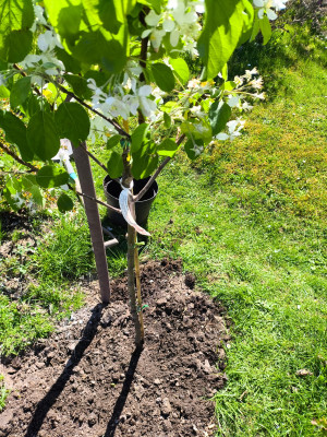 IMG_20260501_133317.jpg