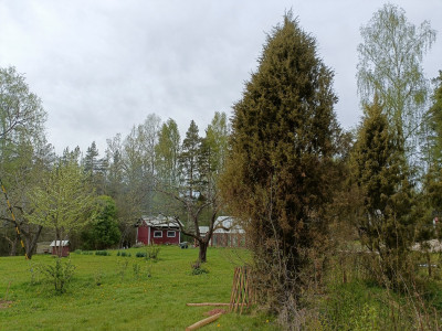 IMG20260509160516.jpg