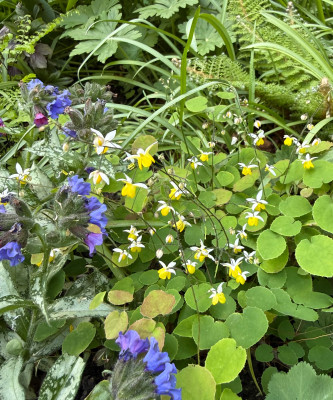 IMG_9060.jpeg