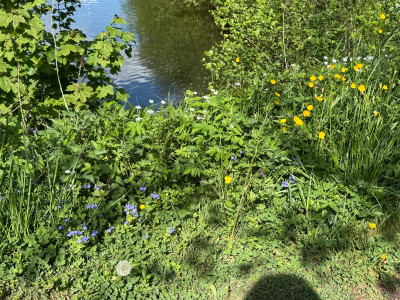 IMG_3289.jpeg