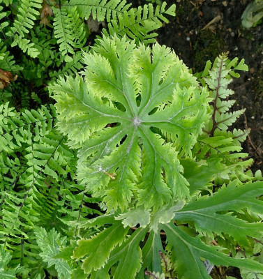 20260510_144337.jpg