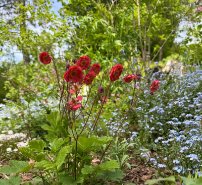 IMG_9078.jpeg