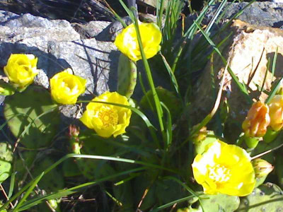 K800_14072008202.JPG