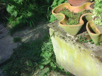 BILD2104.JPG
