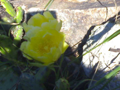K800_14072008203.JPG