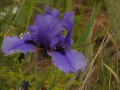 P1070344.JPG