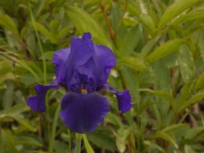 P1070434.JPG