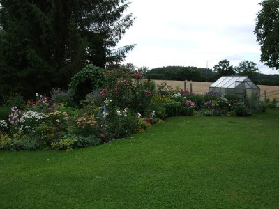 neue_Bilder_aus_dem_Garten_2008.JPG