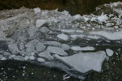 Winter4909.jpg