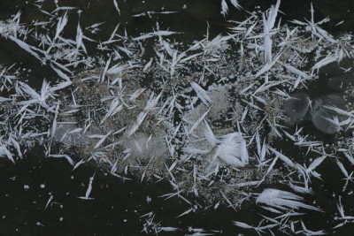 Winter4609.jpg