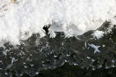 Winter6109.jpg