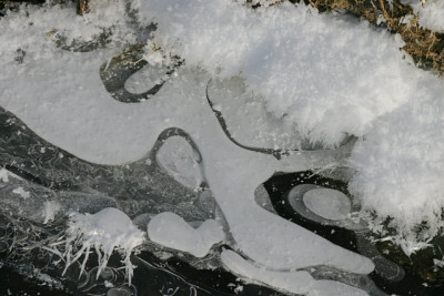 Winter6509a.jpg