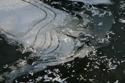Winter9509.jpg