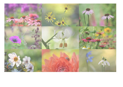 Collage für Namensschilder-90x55.jpg