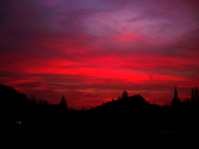 Morgenrot_am_16.1.09.jpg
