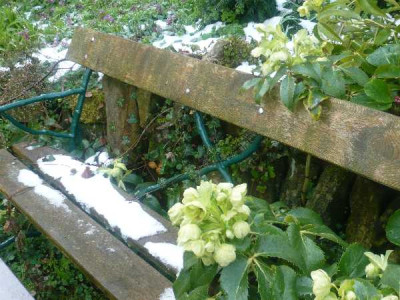 Gartenbank_auf_dem_Rondell.jpg