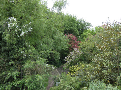 P1010044.JPG