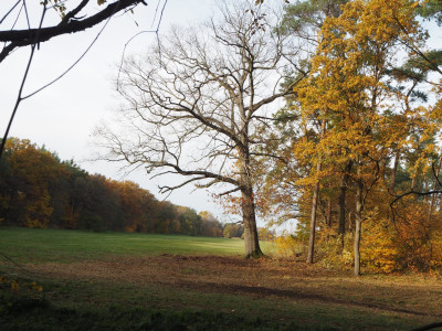 Sicht Herbst 25.JPG