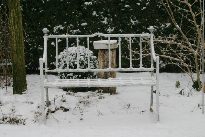 Winter2708.jpg