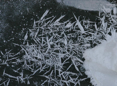 Winter5209a.jpg