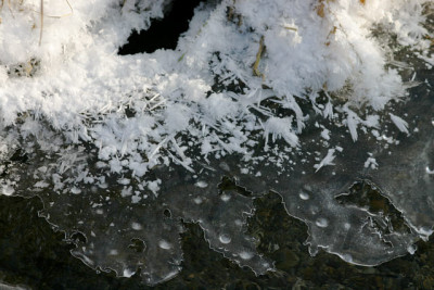 Winter6309.jpg