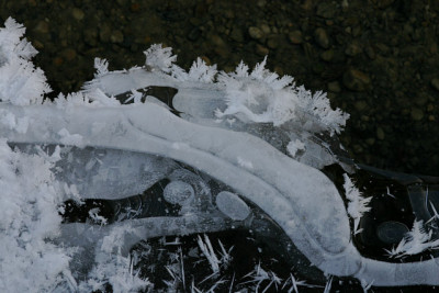 Winter7009.jpg