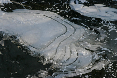 Winter8909a.jpg