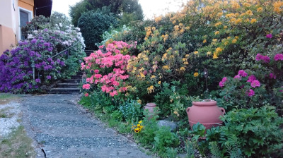 20260516_203630.jpg