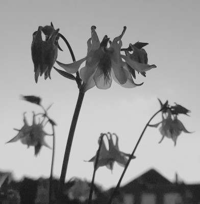 20260516_202719.jpg