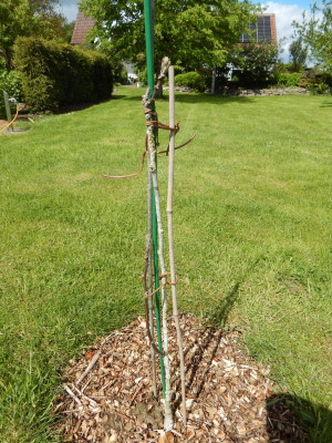 DSCN2267.JPG