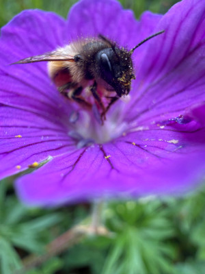 IMG_7583.jpeg