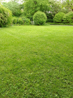 Wiese im Innenhof