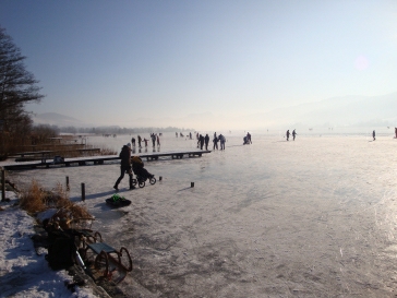 DSC00725.jpg