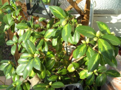 BILD7938.JPG