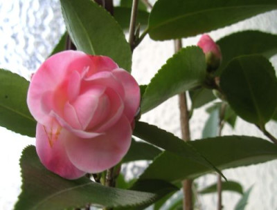 BILD7919.JPG