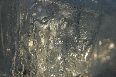17.01._2009_009.jpg