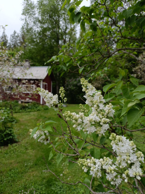 IMG20260520112746.jpg