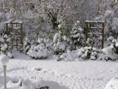 Garten_Winter.JPG
