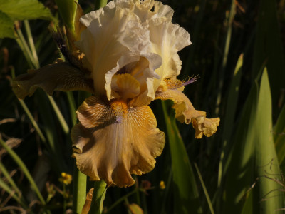 P1080501.JPG