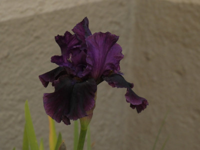 P1080560.JPG