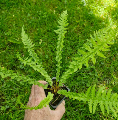 20260524_150029.jpg