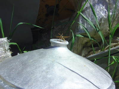 BILD2137.JPG