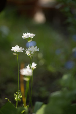 3Q7A2177.jpg