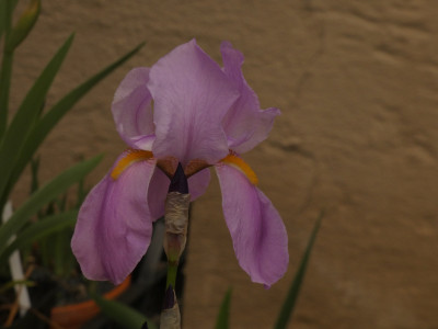 P1080460.JPG