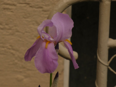 P1080453.JPG